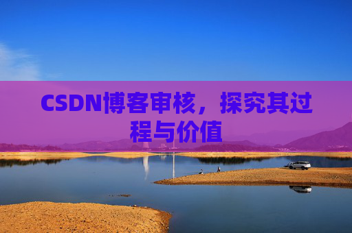 CSDN博客审核，探究其过程与价值